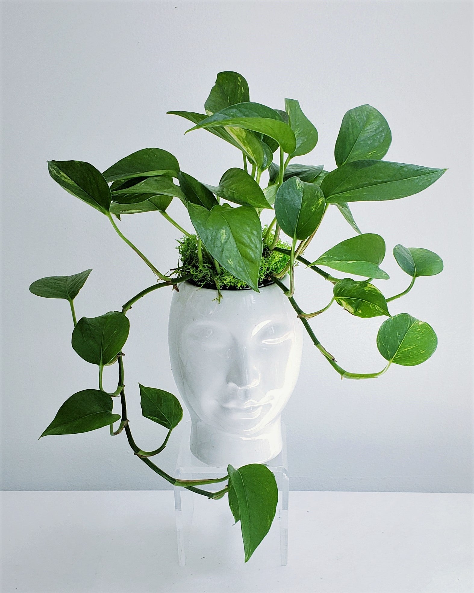 Chic Pot
