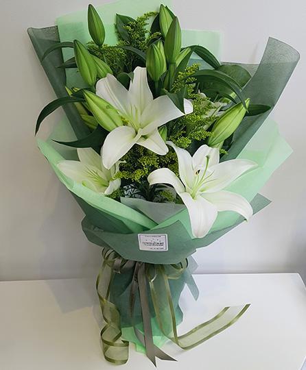 Lily Feast