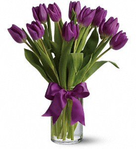 Passionate Purple Tulip