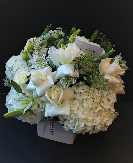 White Elegance
