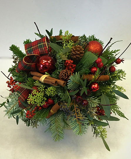 Holiday Berries